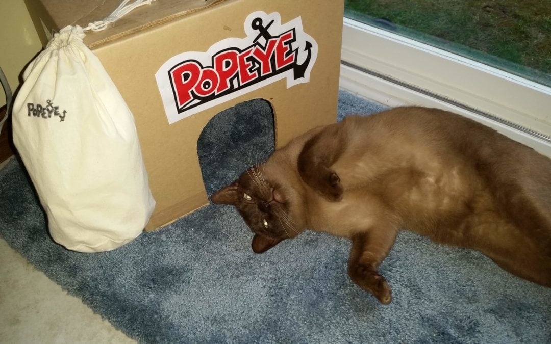 Popeye Finds His Forever Home