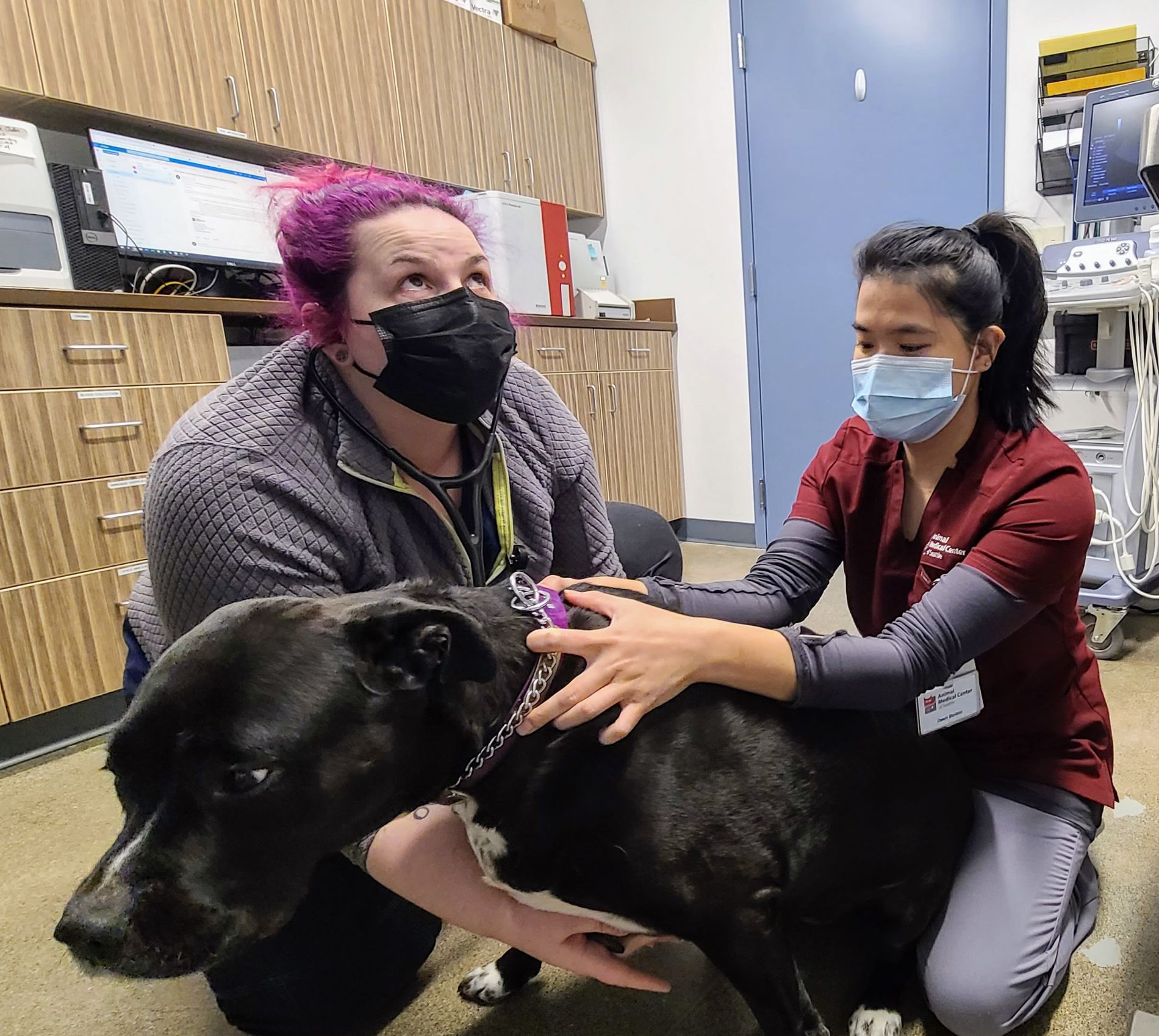 Urgent Care - Animal Medical Center of Seattle Shoreline, WA 98155